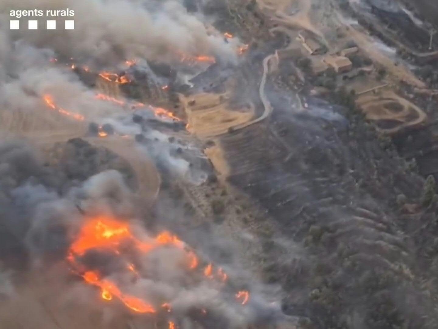 Onda de calor na Europa provoca mortes em incêndio florestal na Espanha Incêndio atinge floresta em Torrefeta, na província de Lleida; duas pessoas morreram (Foto: CATALAN FOREST GUARDS / AGENTS RURALS via AFP)