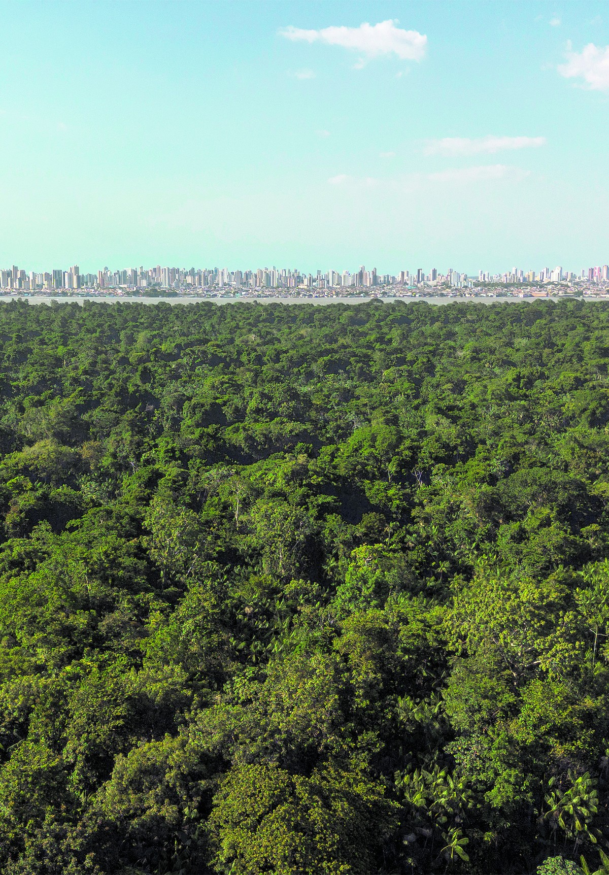 Foto:Reprodução