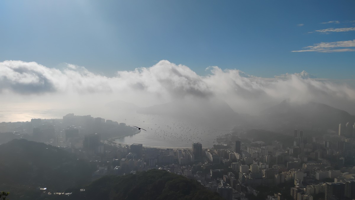 Foto:Reprodução