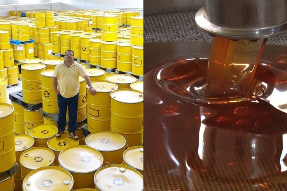 Tarifaço de Trump prejudica produtores de mel no Nordeste brasileiro Após tarifaço de Trump, exportador de mel orgânico perde venda de 585 toneladas (Foto: Arquivo pessoal/Sávio Magalhães/TV Clube)