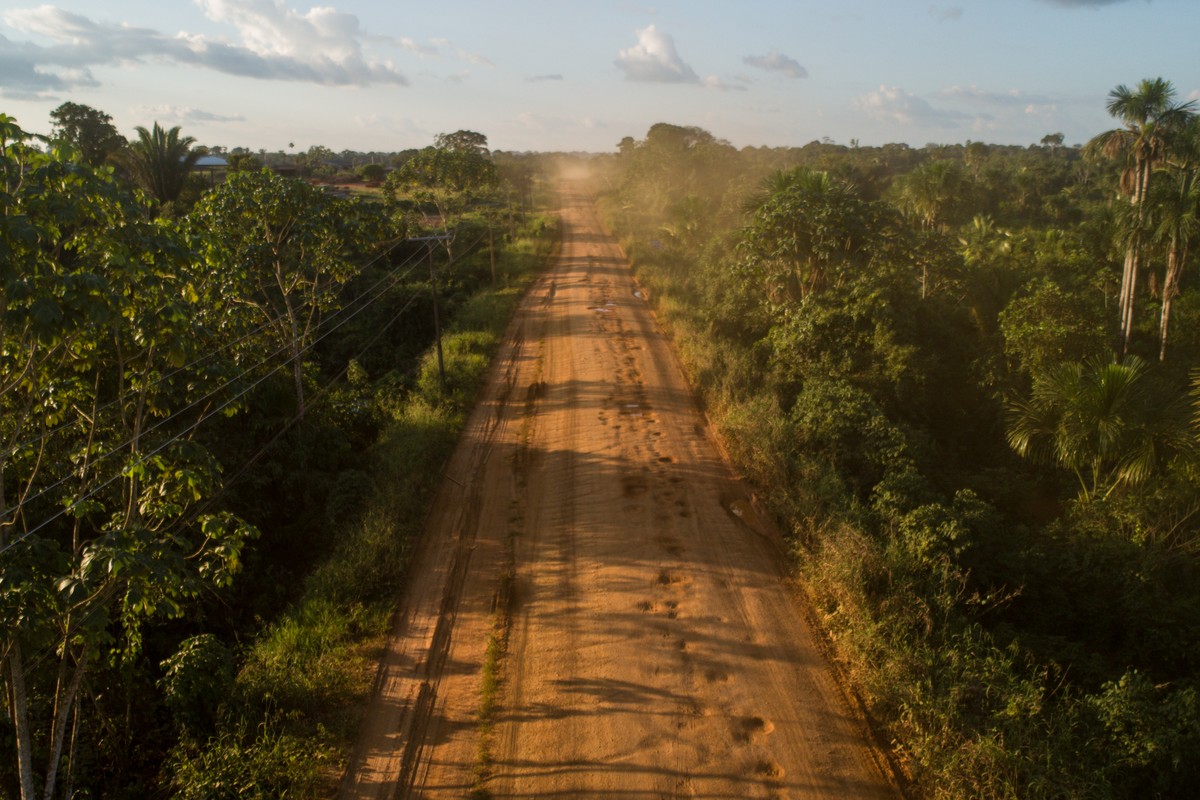 Ministério dos Transportes prevê avanço no licenciamento da BR-319 em 2025 Estrada BR-319, no Amazonas. (Foto: Brenno Carvalho / Agência O Globo)
