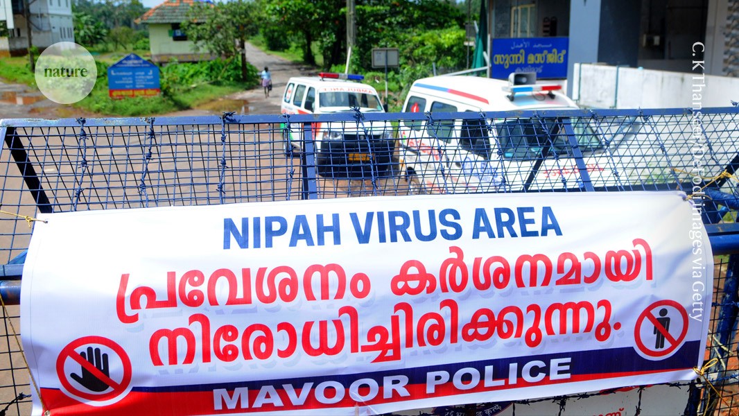 Não há vacinas ou tratamentos aprovados para o vírus Nipah. Casos foram relatados em Bangladesh, Índia e Malásia. (Foto: C. K Thanseer/DeFodi images via Getty)