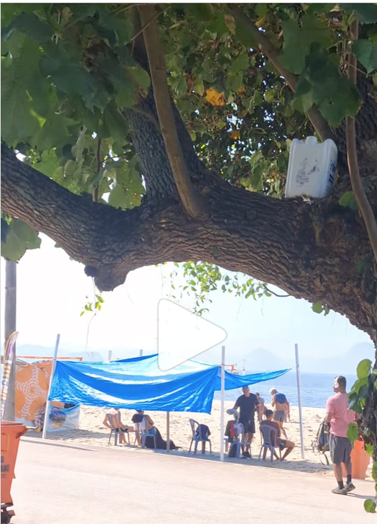 Casa na árvore é encontrada no Aterro do Flamengo em vídeo impressionante Casa na árvore: estrutura de uma espécie de abrigo foi encontrada em copa de árvore no Aterro do Flamengo (Foto: Reprodução)