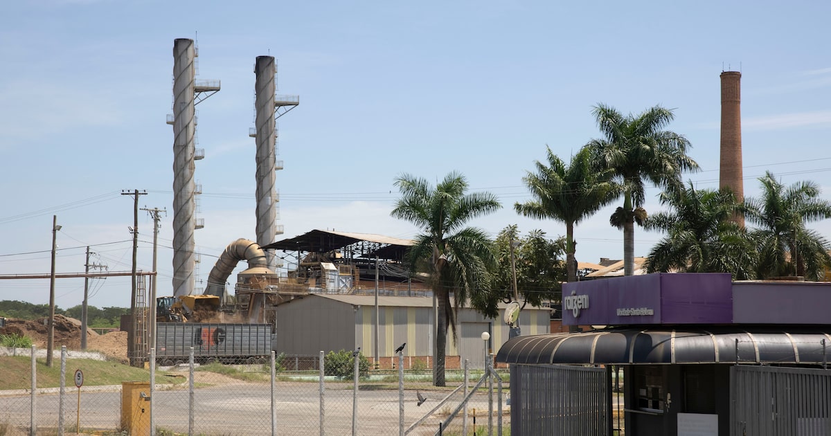 Foto:Reprodução