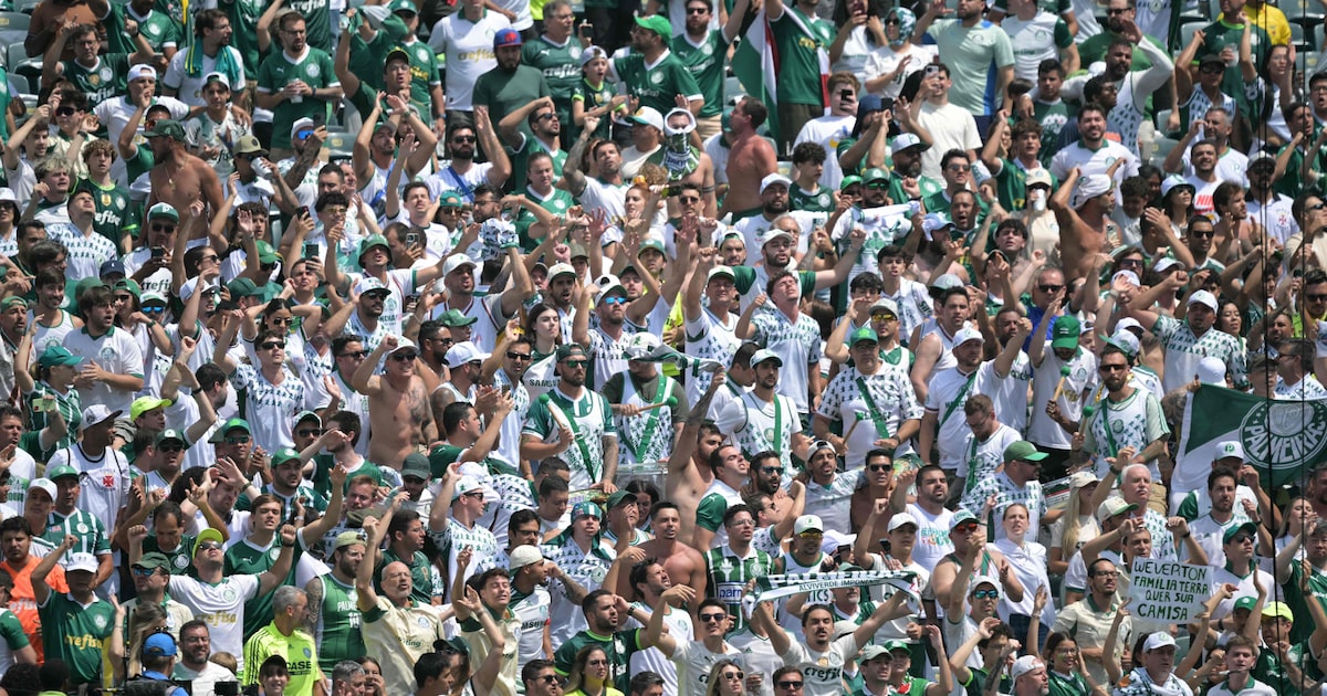 Fifa anuncia redução nos preços dos ingressos para Palmeiras x Chelsea Torcida do Palmeiras comemora gol no duelo com o Botafogo, na Filadélfia (Foto: Juan Mabromata/AFP)