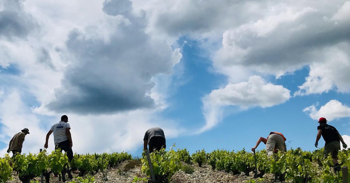 Domaine de l’Anglore (Foto: Reprodução)