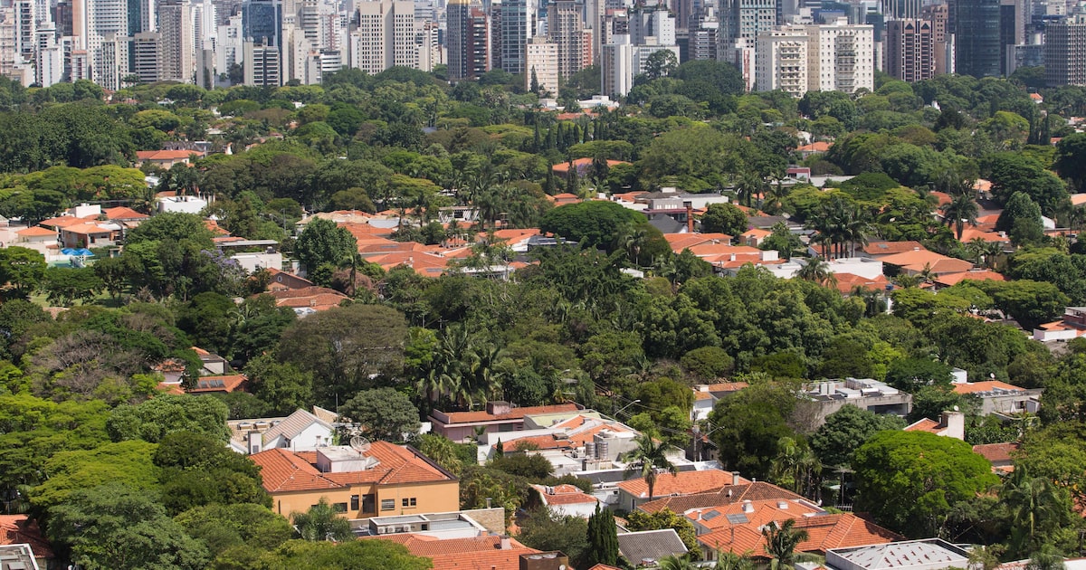 Foto:Reprodução