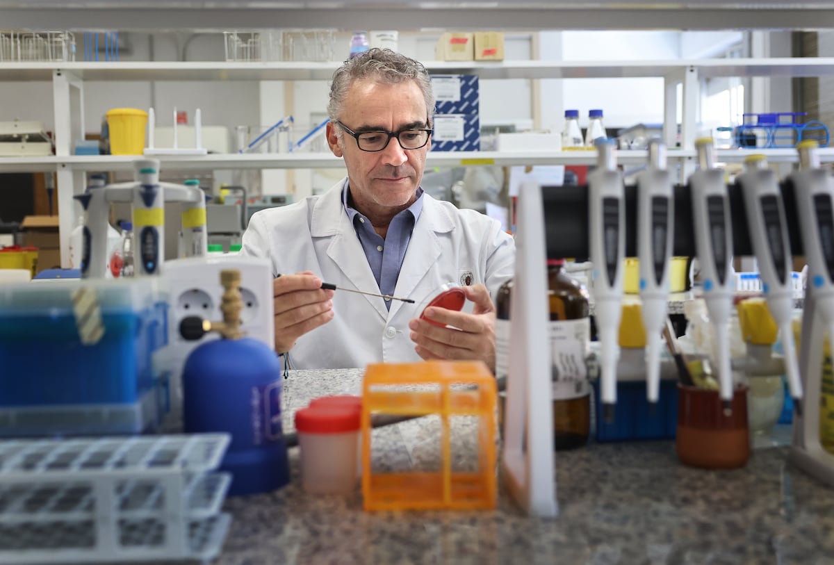 O microbiólogo Bruno González Zorn, em seu laboratório da Universidade Complutense de Madrid. (Foto: Jaime Villanueva)