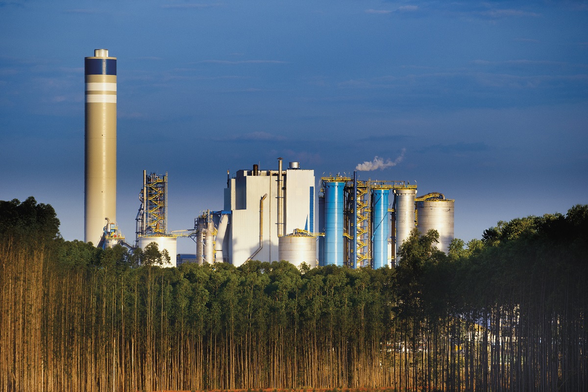 JPMorgan ajusta preço-alvo da Suzano, mas mantém preferência por SUZB3 Foto: Reprodução