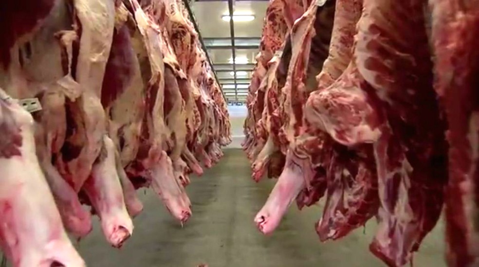 Frigoríficos de MS suspendem produção de carne devido a tarifas dos EUA Frigoríficos de MS suspendem produção de carne devido a tarifas dos EUA