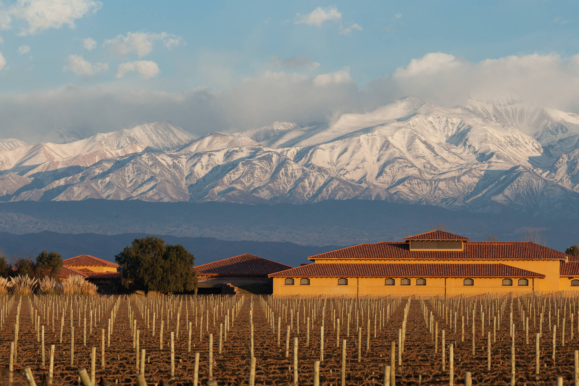 Mendoza encanta com paisagens deslumbrantes e vinhos de qualidade perto de SP Vinhedos na vinícola Huentala Wines, na região do vale do Uco, província de Mendoza, Argentina (Foto: Gustavo Queirolo/Folhapress)