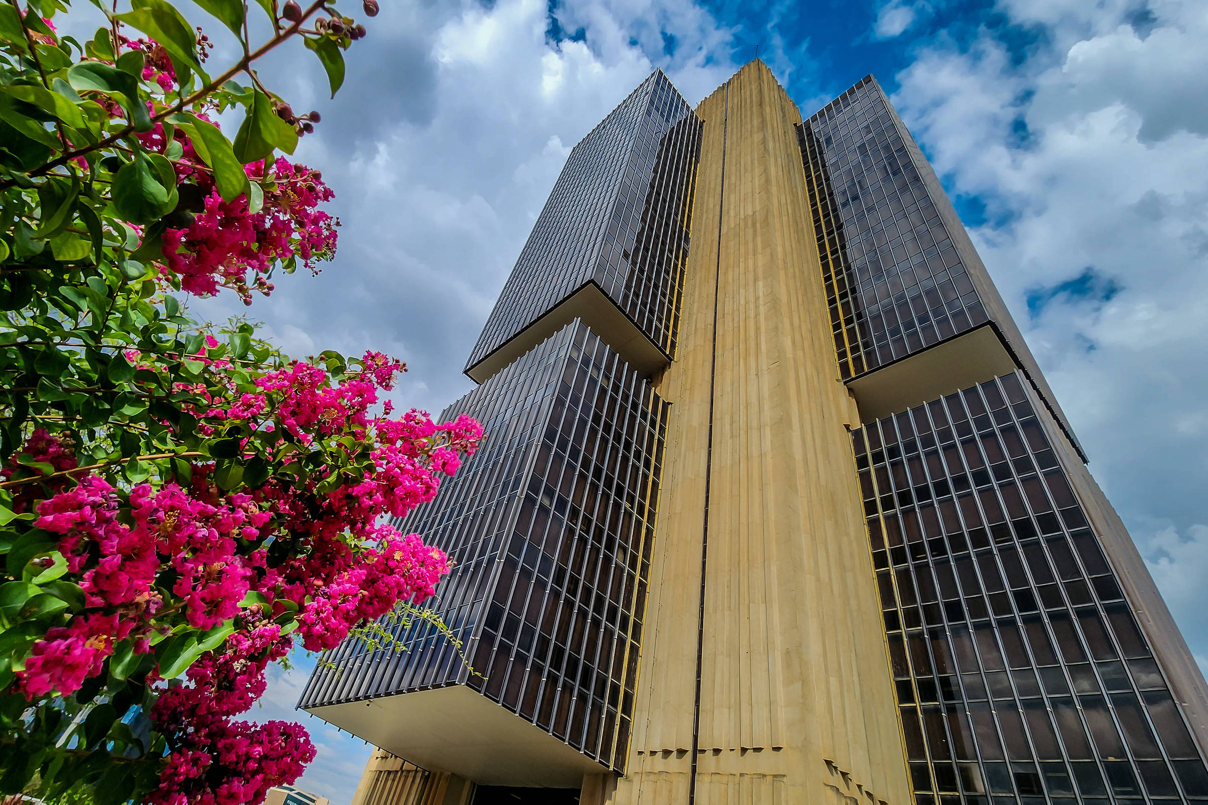 Foto:Reprodução