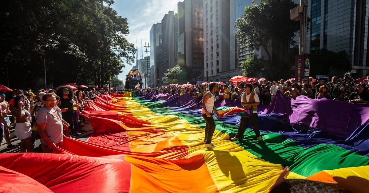 Parada do orgulho LGBT+, em 2024, na Av. Paulista, em São Paulo (Foto: Taba Benedicto/Estadão)