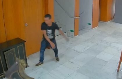Homem que quebrou relógio histórico no 8 de Janeiro é liberado da prisão Foto: Reprodução
