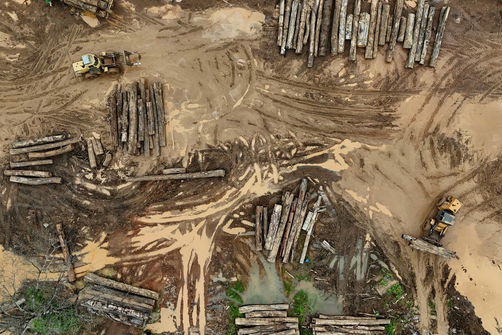Madeireiros ilegais exploram crédito de carbono e ameaçam a Amazônia Troncos de árvores são vistos durante operação de combate ao desmatamento por agentes do Ibama em Porto Velho, Rondônia. (Foto: REUTERS/Ueslei Marcelino)