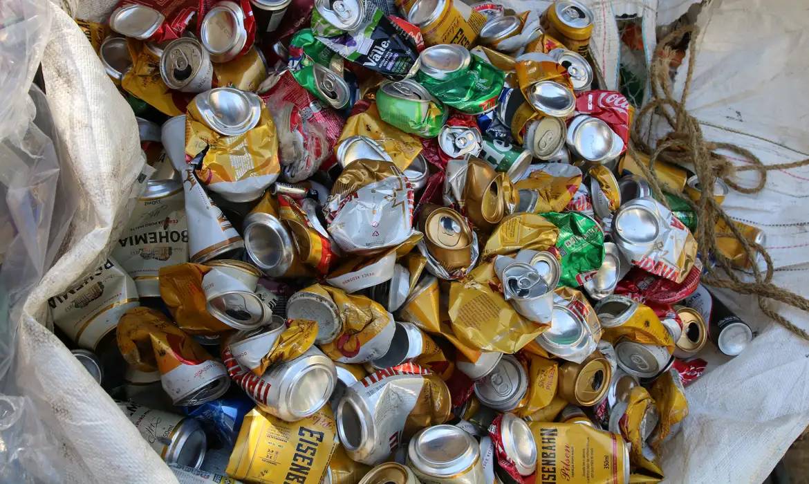 Brasil lidera reciclagem de latas de alumínio, mas enfrenta desafios globais Latas recicladas (Foto: Rovena Rosa/Agência Brasil)