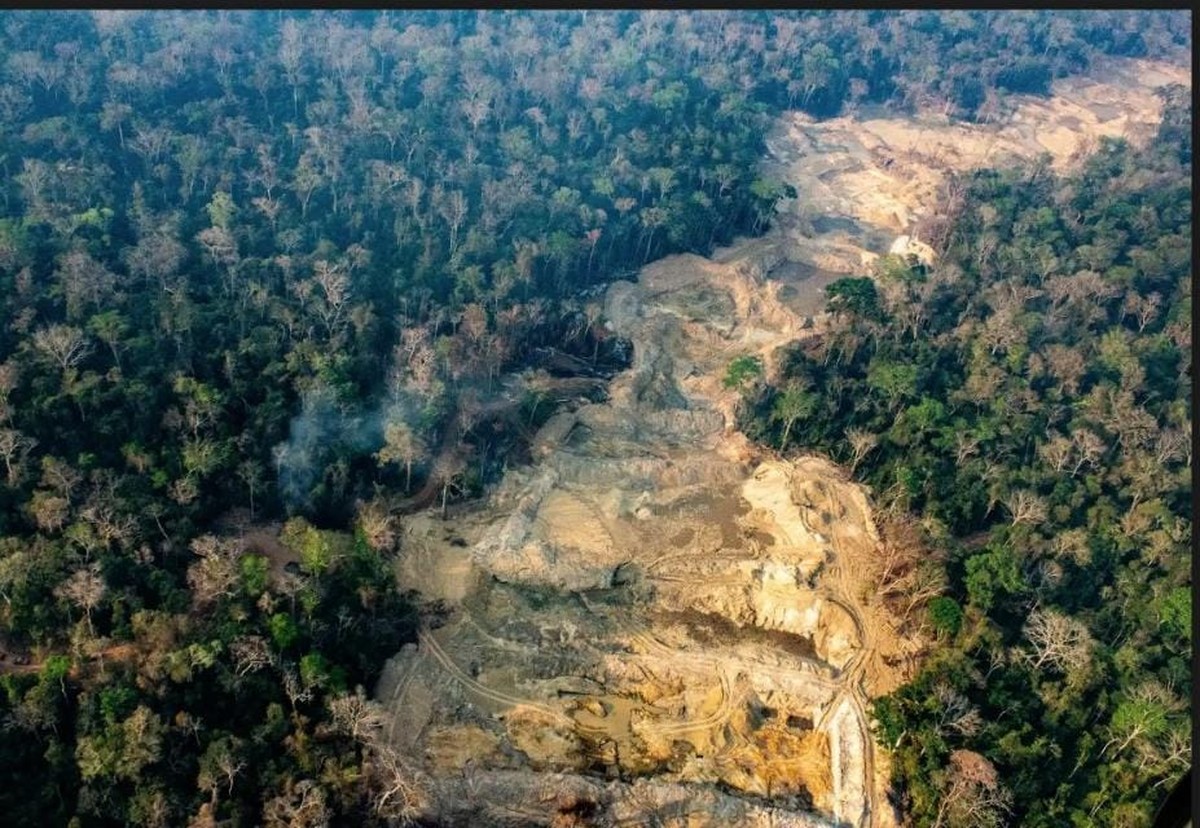 Garimpo ilegal revela conexões com violações de direitos humanos no Brasil Rastro de destruição deixada pelo garimpo na Terra Indígena de Sararé (Foto: Fabio Bispo/Greenpeace)