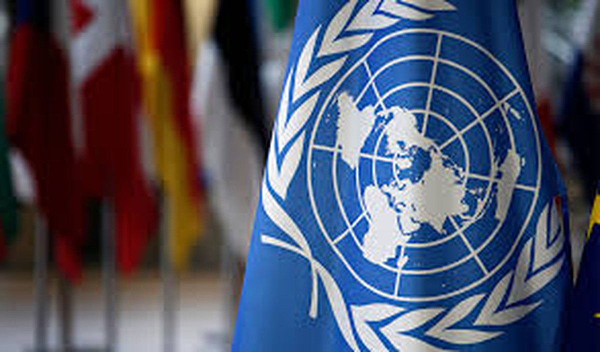 ONU solicita que Brasil reconsidere PL do Licenciamento antes da sanção de Lula Bandeira da ONU (Foto: Reprodução)