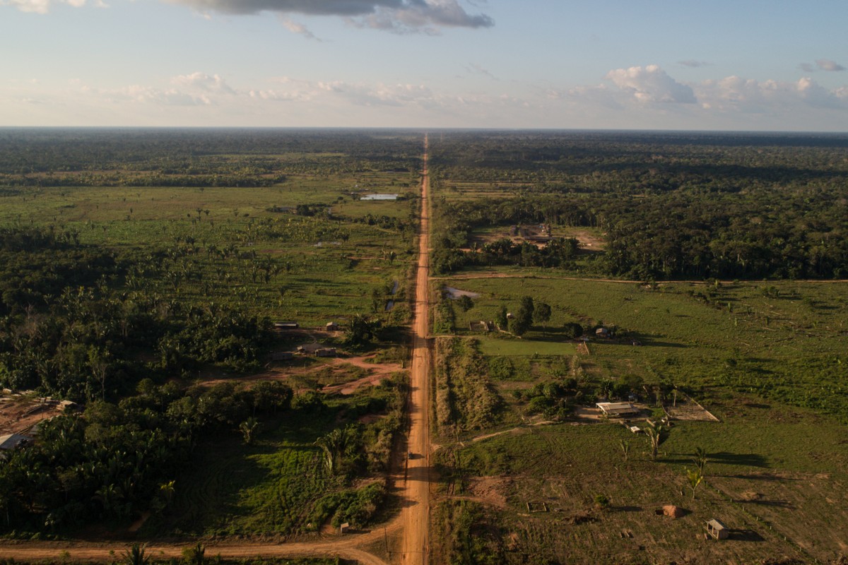 Justiça suspende licença do Ibama para asfaltamento da BR-319 em novo embate político Estrada BR-319, no Amazonas. (Foto: Brenno Carvalho / Agência O Globo)