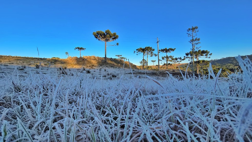 Inverno de 2025 traz mudanças climáticas e expectativas para a população Geada em SC, termômetros abaixo de -3ºC. (Foto: Mycchel Legnaghi/São Joaquim Online/Divulgação)