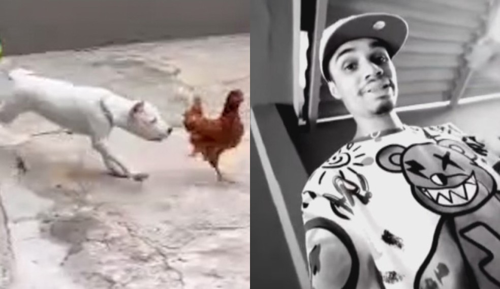 Influenciador é indiciado por alimentar cães com galinhas vivas em vídeo polêmico Influenciador é preso por maus-tratos após jogar galinhas vivas para cachorros comerem e filmar (Foto: Reprodução/Redes sociais)