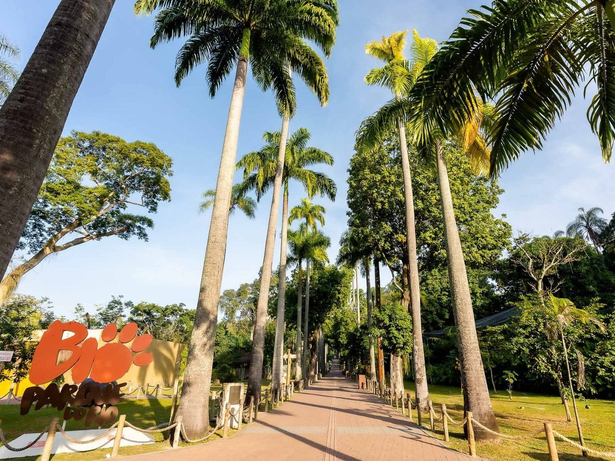 Gripe aviária é confirmada em galinhas-d'Angola no BioParque do Rio; aves morreram BioParque do Rio (Foto: Divulgação)