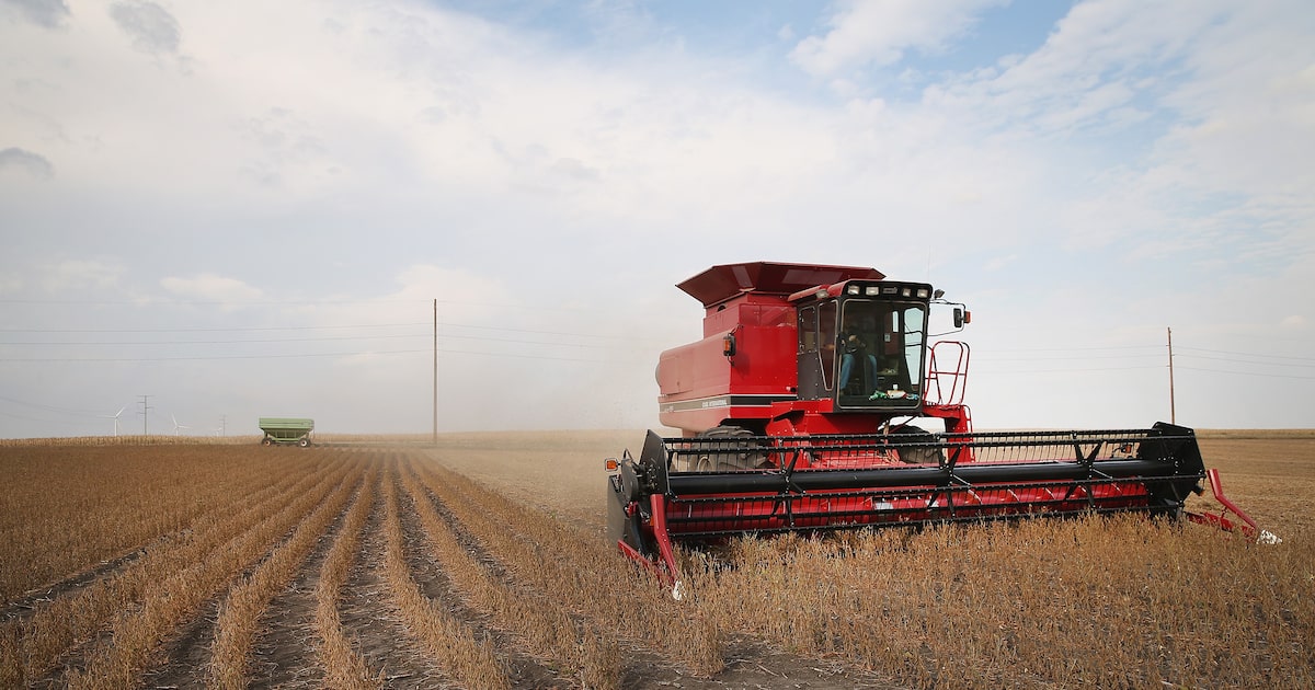 BASF destaca descarbonização do agro como motor para crescimento sustentável Hoje, mais de 80% dos produtos da empresa alemã que são comercializados no Brasil são fabricados localmente (Foto: Scott Olson/Getty /Scott Olson)