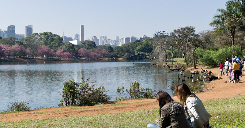 Laboratório da USP detecta primeiros casos de gripe aviária no Ibirapuera Parque Ibirapuera. Ao fundo, está um lago e, mais à frente, o terreno com grama. Do lado direito e abaixo, estão duas mulheres sentadas tomando sol. Há, também, algumas pessoas andando do lado superior direito, olhando para aves à beira do lago. (Foto: USP Imagens)