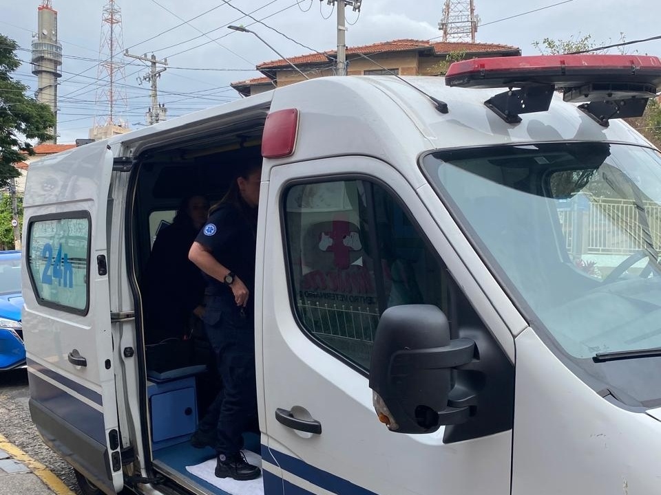 Ambulância para pets é criada em São Paulo para emergências animais Ambulância utilizada na remoção de animais não é personalizada (Foto: Debora Alexandre/UOL)