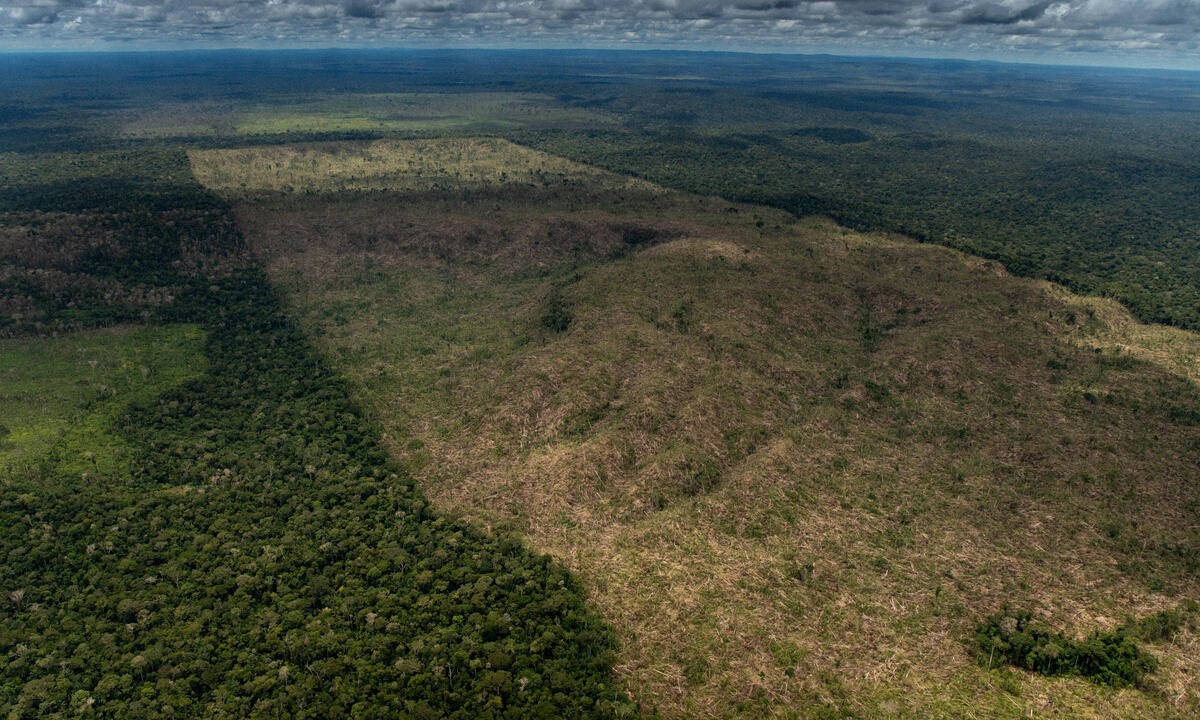 Lula deve vetar integralmente o PL da Devastação para proteger o meio ambiente Desmatamento na Floresta Amazônica: proposta é uma saia justa planetária para o Brasil, que está a pouco mais de três meses da realização da COP 30 (Foto: Christian Braga/ Greenpeace/Divulgação)