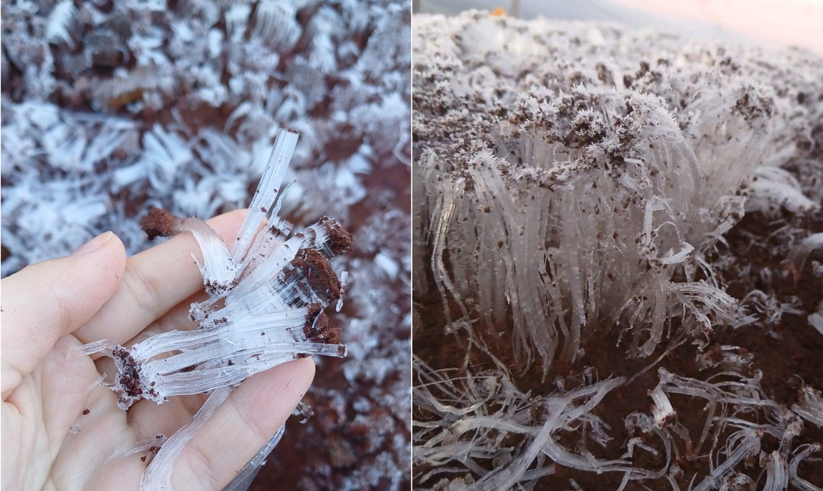 Onda de frio provoca 'agulhas de gelo' em várias cidades do Sul do Brasil Fenômeno ocorreu em cidades do Sul do Brasil em madrugada congelante (Foto: Reprodução / Facebook)