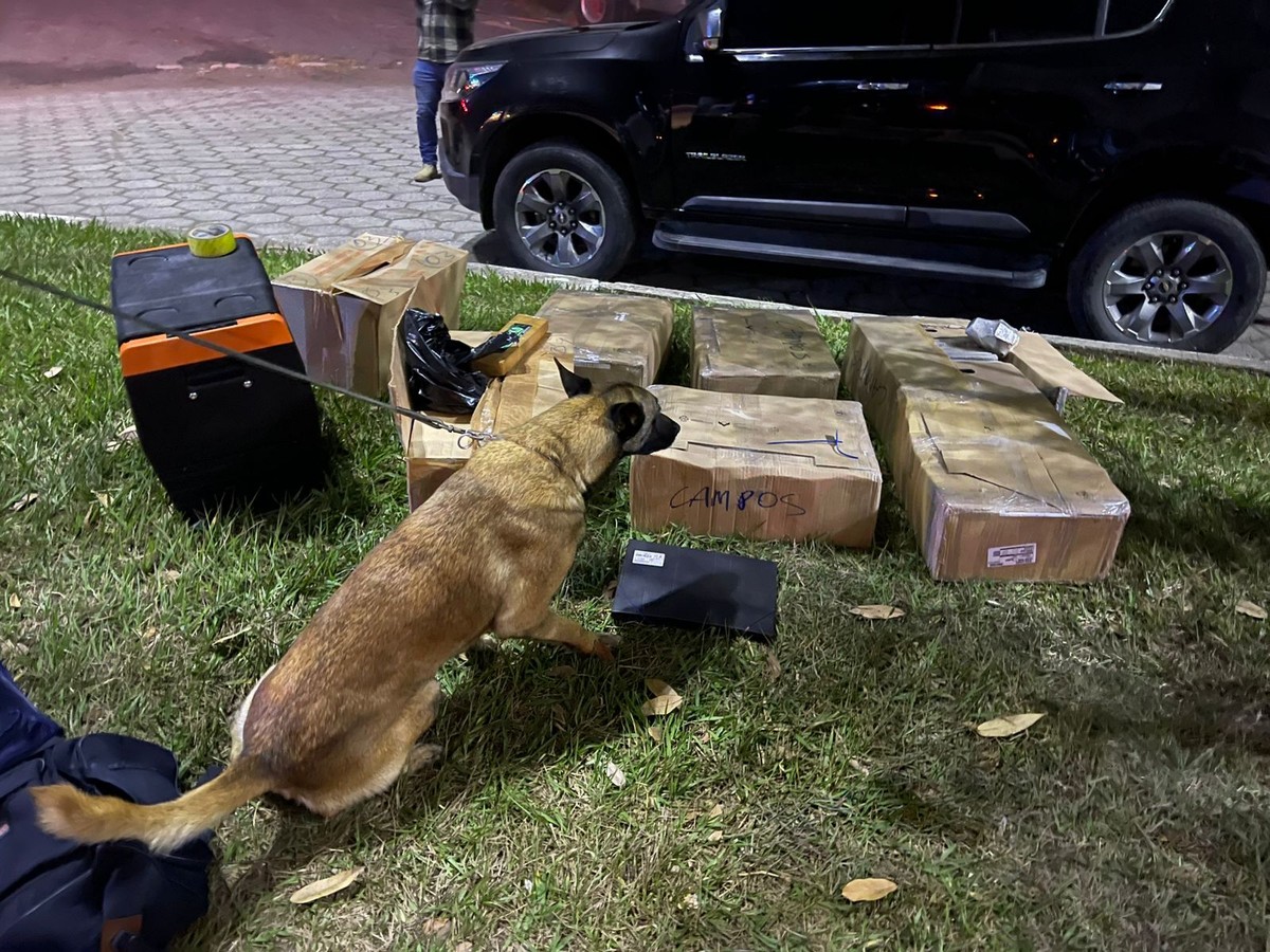 Polícia Federal encontra 200kg de drogas durante operação na Rodovia Presidente Dutra Polícia Federal prende apreende mais de 200kg de drogas na Rodovia Presidente Dutra (Foto: Divulgação)