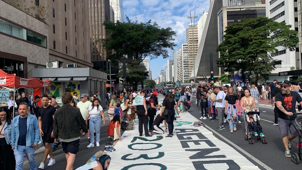 Novas regras da Lei Geral de Licenciamento Ambiental geram protestos e polêmicas Ato na avenida Paulista contra projeto de lei que cria a Lei Geral do Licenciamento Ambiental (Foto: Cezar Rubio/TV Globo)