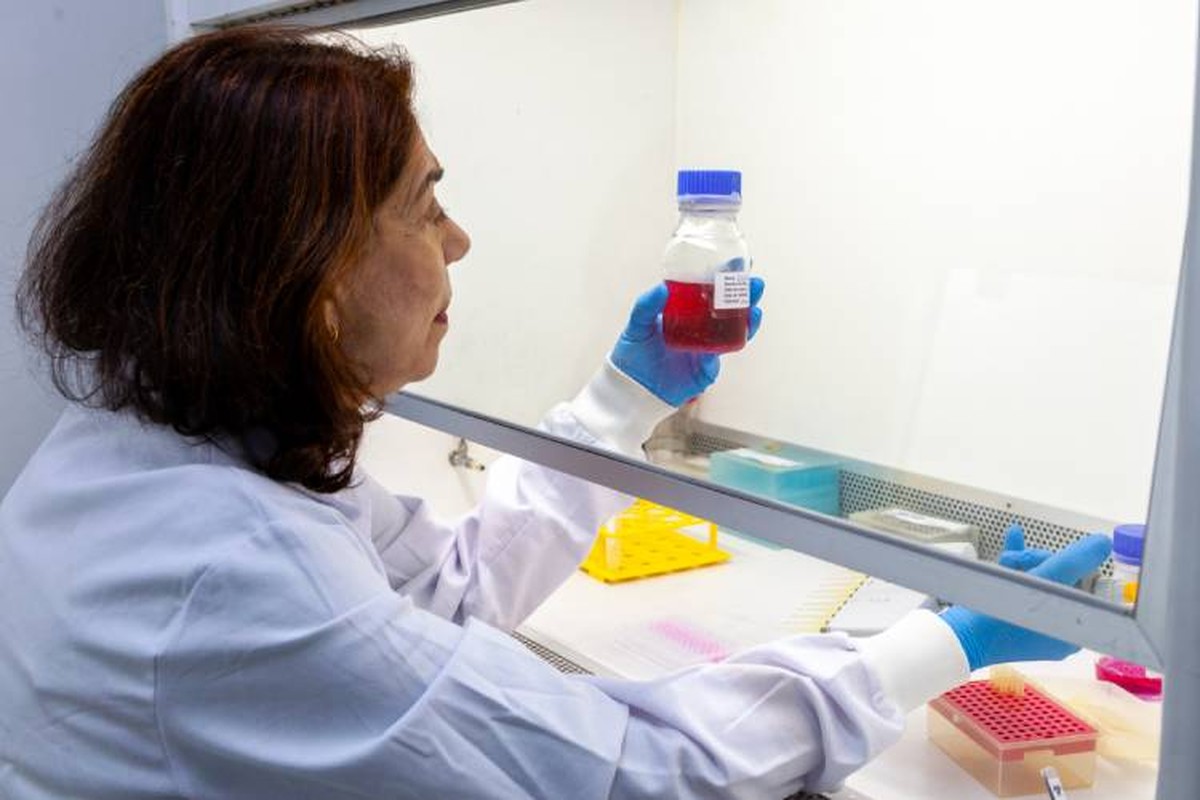 Ana Maria Moro, diretora do CeRDI e do Laboratório de Biofármacos do Butantan, é responsável pelo desenvolvimento da linhagem celular experimental. (Foto: Divulgação / Instituto Butantan)