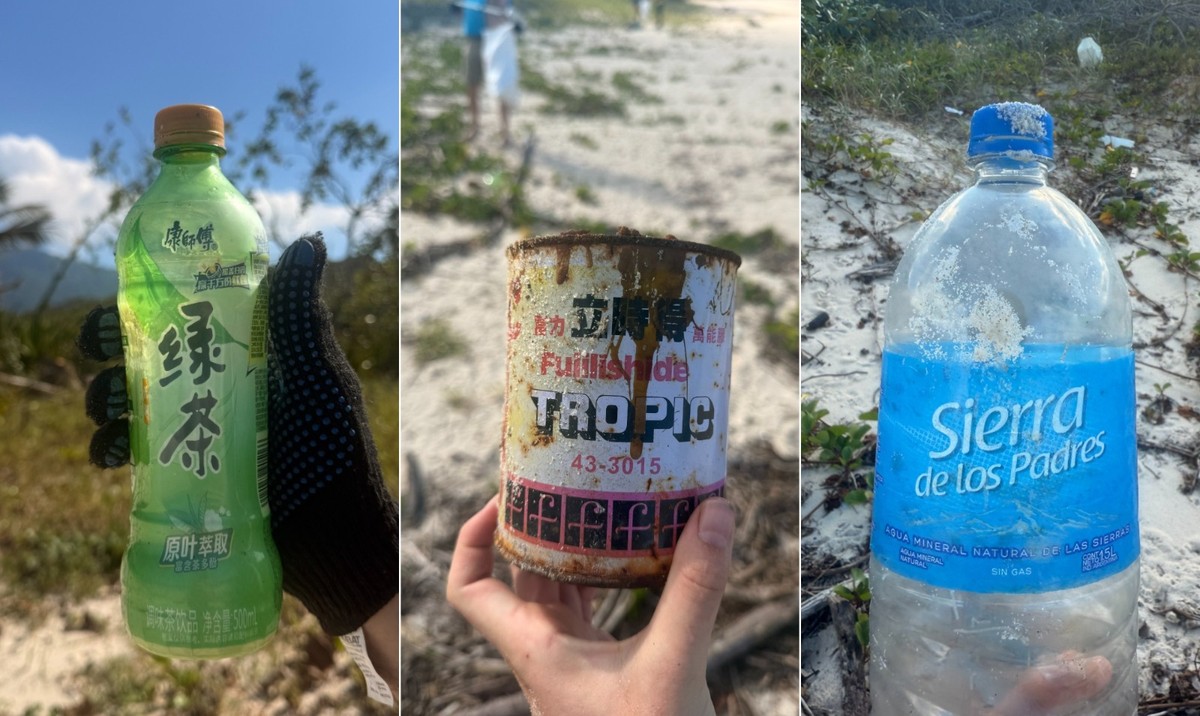Mutirão de Limpeza encontra plásticos que podem ser ingeridos por tartarugas e aves marinhas (Foto: Divulgação/Inea)