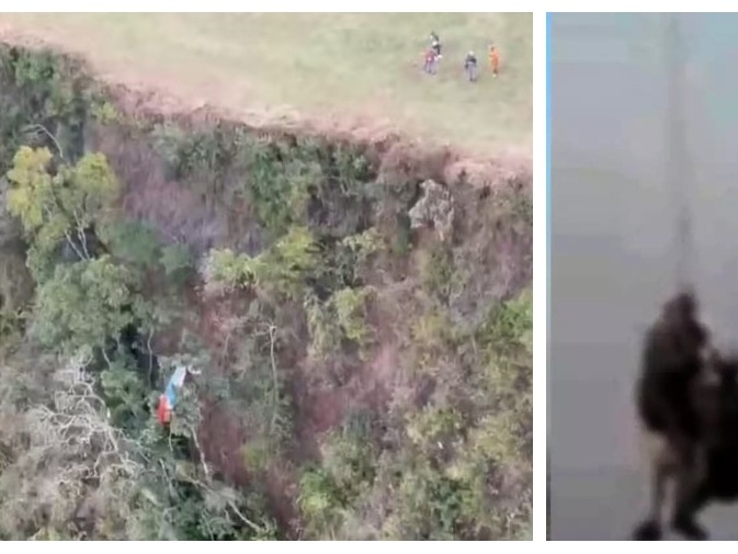 Foto:Reprodução