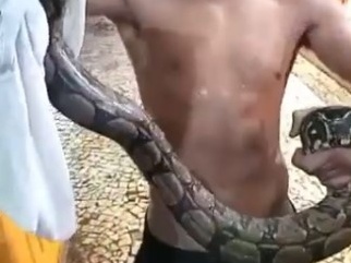 Jovem captura jiboia em Copacabana e a leva para resgate dos Bombeiros
