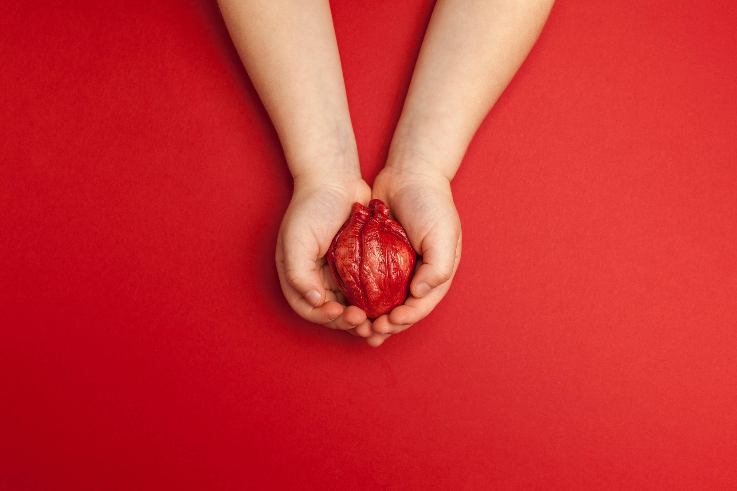 Cardiologista revela dez dicas essenciais para prevenir doenças cardíacas Boa alimentação e descanso podem ajudar a prevenir doenças cardíacas (Foto: Andrii Zastrozhnov/Adobe Stock)
