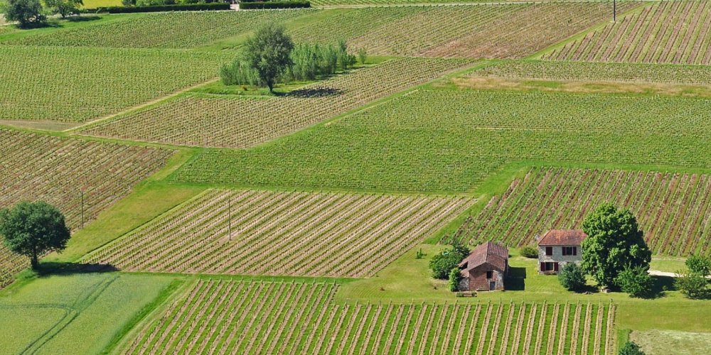 Cahors destaca-se como o berço do malbec na viticultura francesa