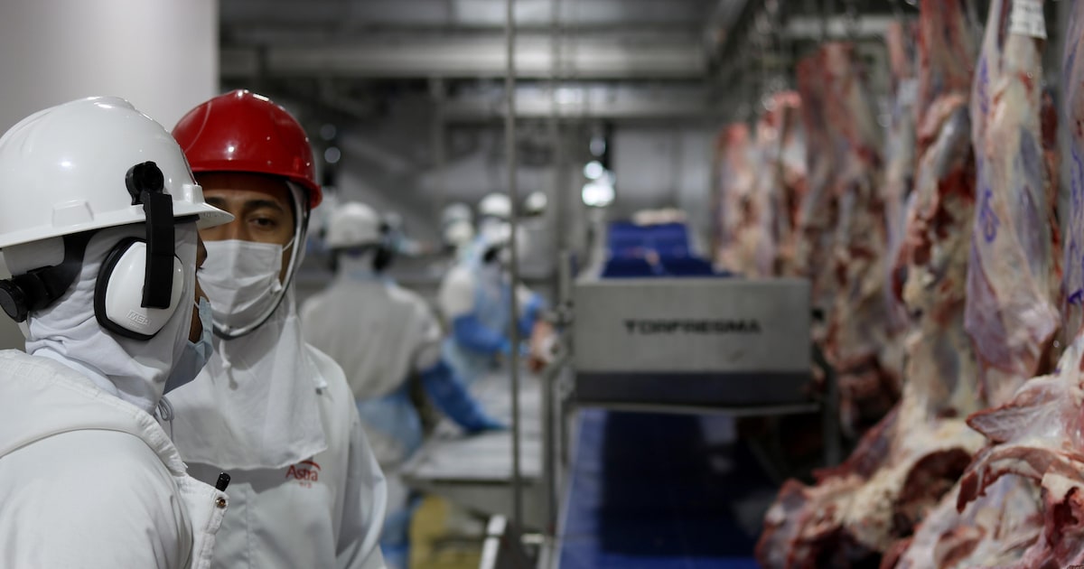Setores exportadores do Brasil reagem à tarifa de 50% imposta por Trump Carne brasileira está entre os afetados pelo tarifaço de Trump (Foto: Frigorífico Astra/Divulgação)
