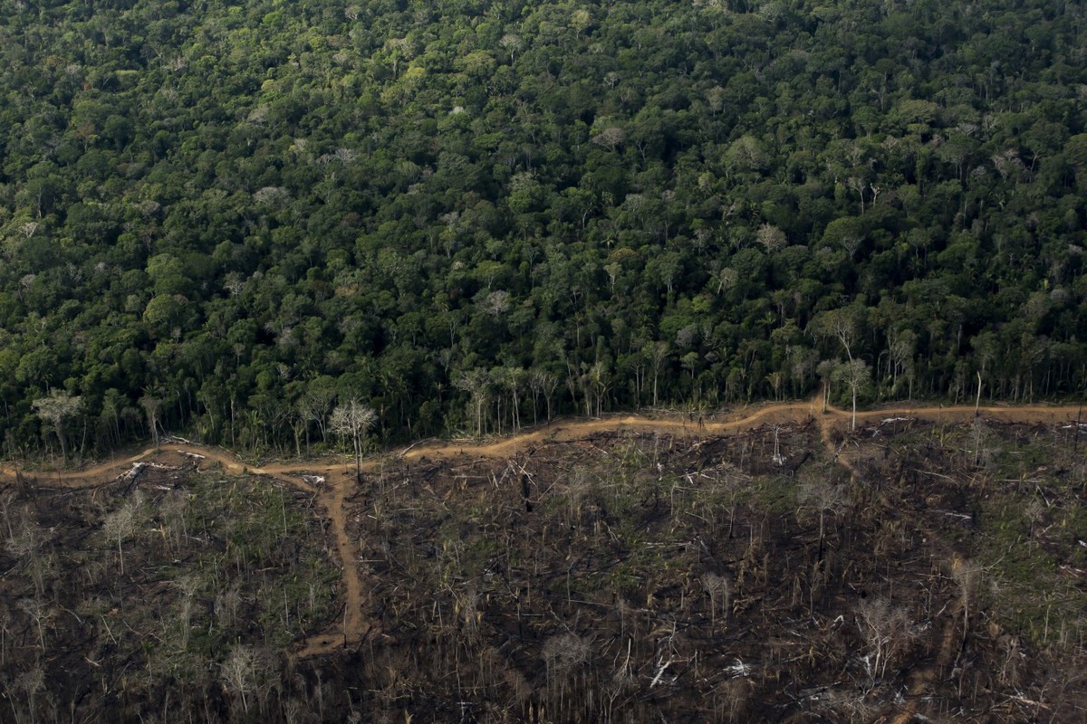 Desmatamento na floresta amazônica (Foto: Edilson Dantas/Agência O Globo/17-09-2021)