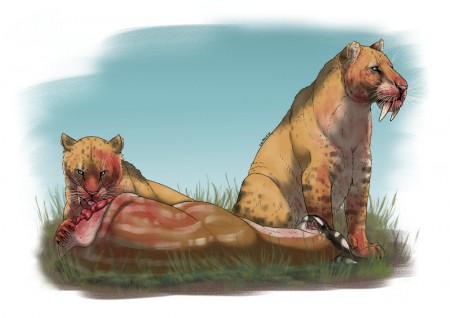 Dentes-de-sabre do gênero Smilodon devoram presa. Com menos herbívoros para predar, houve perda de diversidade até a extinção (Foto: Felipe Capoccia/Unicamp)