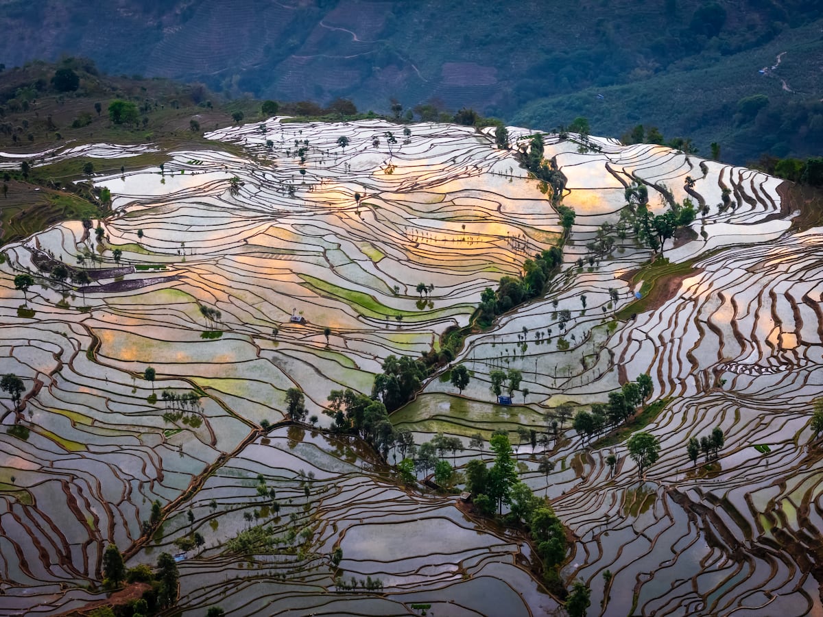 Descubra Yunnan: a China das impressionantes terrazas de arroz e templos históricos