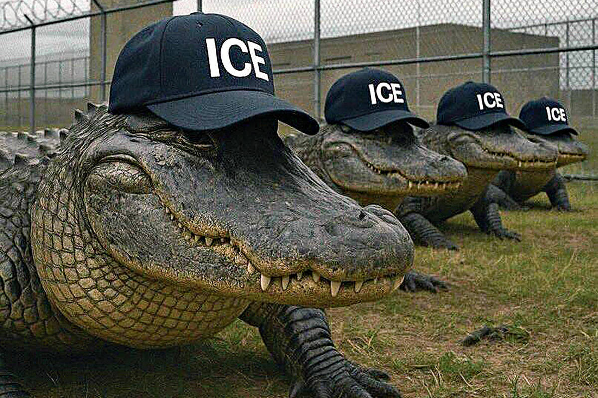 Jacarés com bonés do ICE, o serviço de imigração dos EUA (Foto: @dhsgov no Instagram)