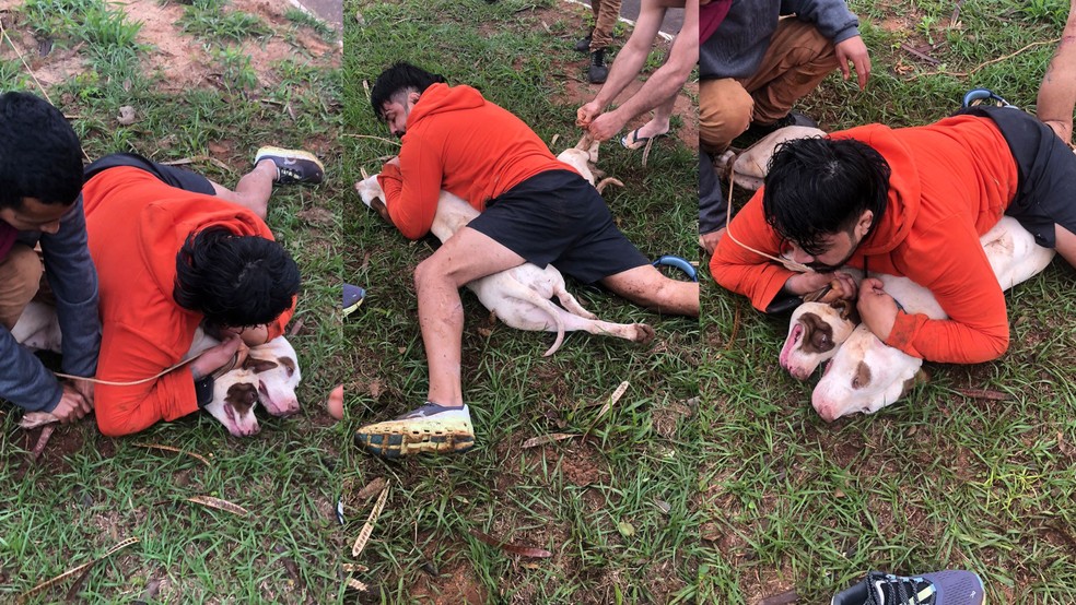 Lutador utiliza Muay Thai e Jiu-Jitsu para conter pitbulls em ataque no MS Ernesto usou técnicas do Muay Thai e Jiu-Jitsu para imobilizar dois pitbulls durante ataque em MS (Foto: Reprodução)
