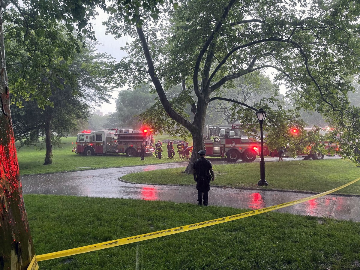 Adolescente sobrevive após ser atingido por raio no Central Park, em Nova York Adolescente de 15 anos sobrevive após ser atingido por raio no Central Park, diz polícia (Foto: The New York Times)