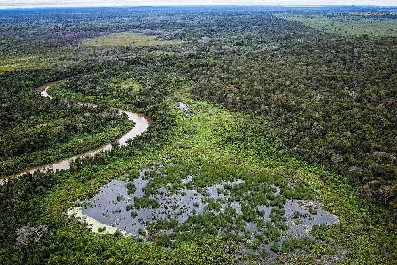 Concessões florestais impulsionam economia sustentável e preservação ambiental Tarifa de Trump ameaça o agro do Brasil — e encarece produtos nos EUA (Foto: Reprodução)