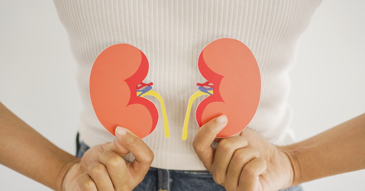 Quando o funcionamento renal é prejudicado, há aumento no risco de diversos problemas de saúde (Foto: SewcreamStudio/Adobe Stock)
