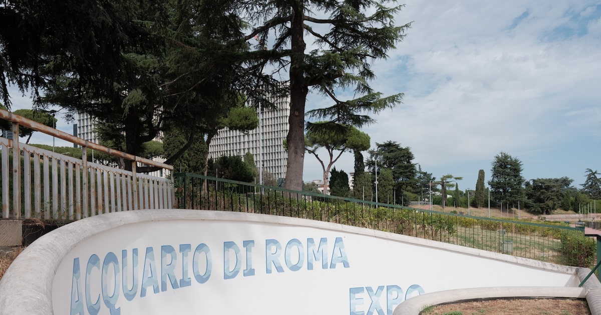 Aquário de Roma enfrenta risco de falência antes da inauguração com investimento de € 100 milhões Projeto construído para abrir neste ano ainda precisa de 20 milhões de euros para equilibrar contas e concluir obras, mas enfrenta disputas financeiras e impasses legais (Foto: Reprodução)