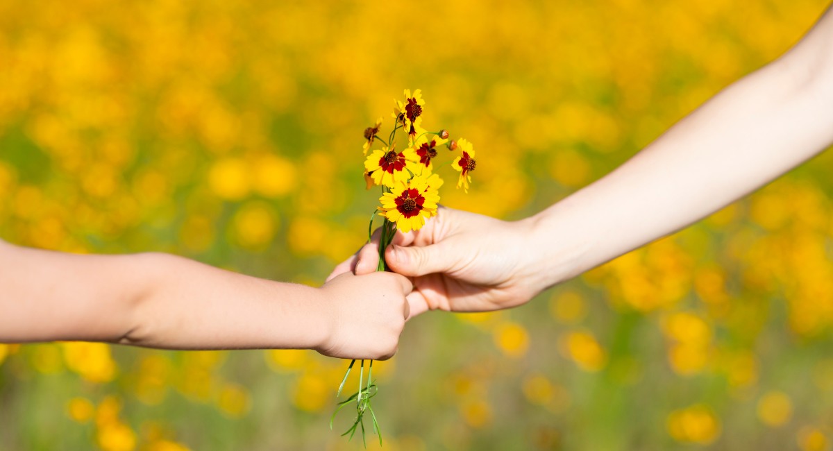 Flores como presente: descubra a origem e os significados dessa tradição cultural Tradição carrega significados religiosos e sociais (Foto: Banco de imagens)